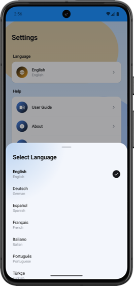 FileForge language settings